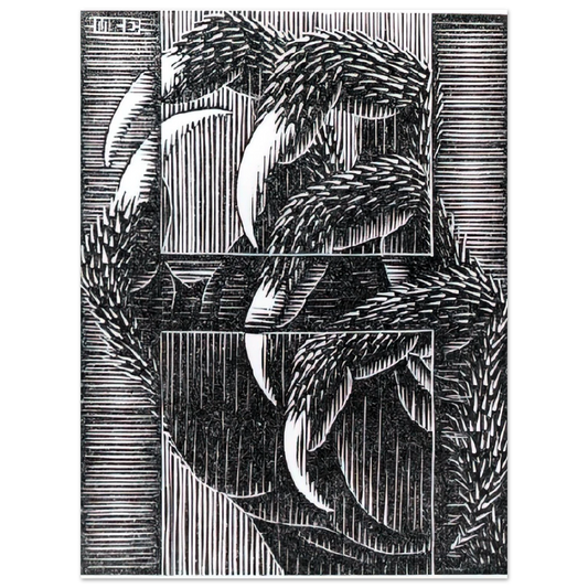 MC Escher - ESCHER (13) Wall Art - 21x29.7 cm / 8x12" - Fine Art Poster - -