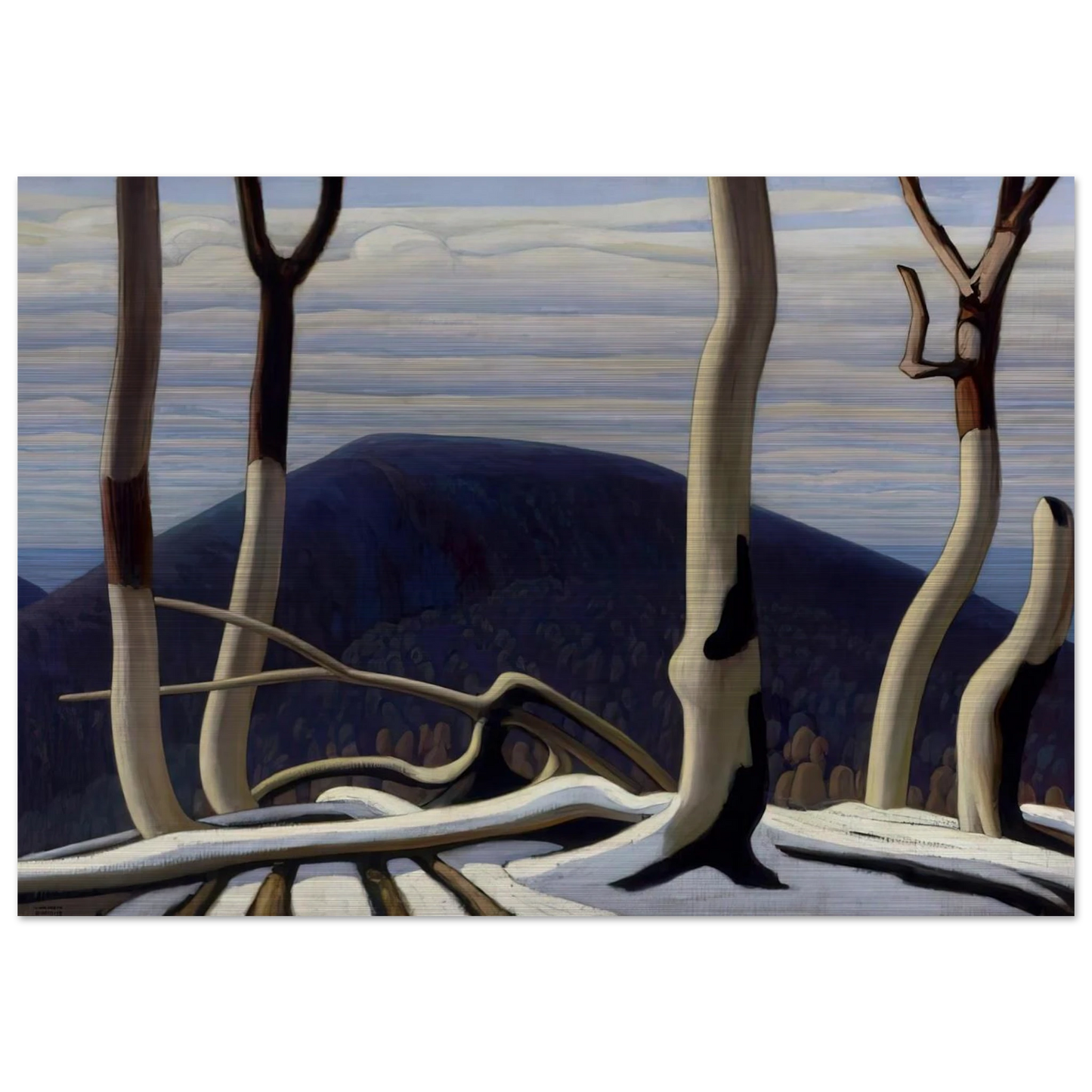 e6319a3f-7c98-4844-b5a5-116066ca8103