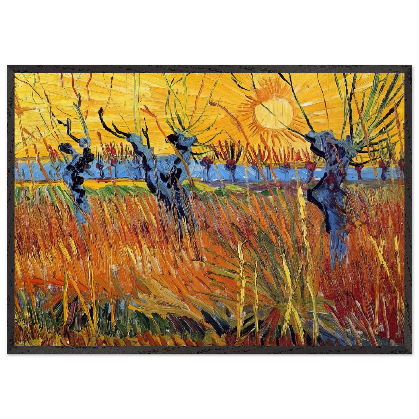 Pollard Willows and Setting Sun - Vincent van Gogh Framed Art Print – Black Wooden Frame - Default Title - -Framed Art Print
