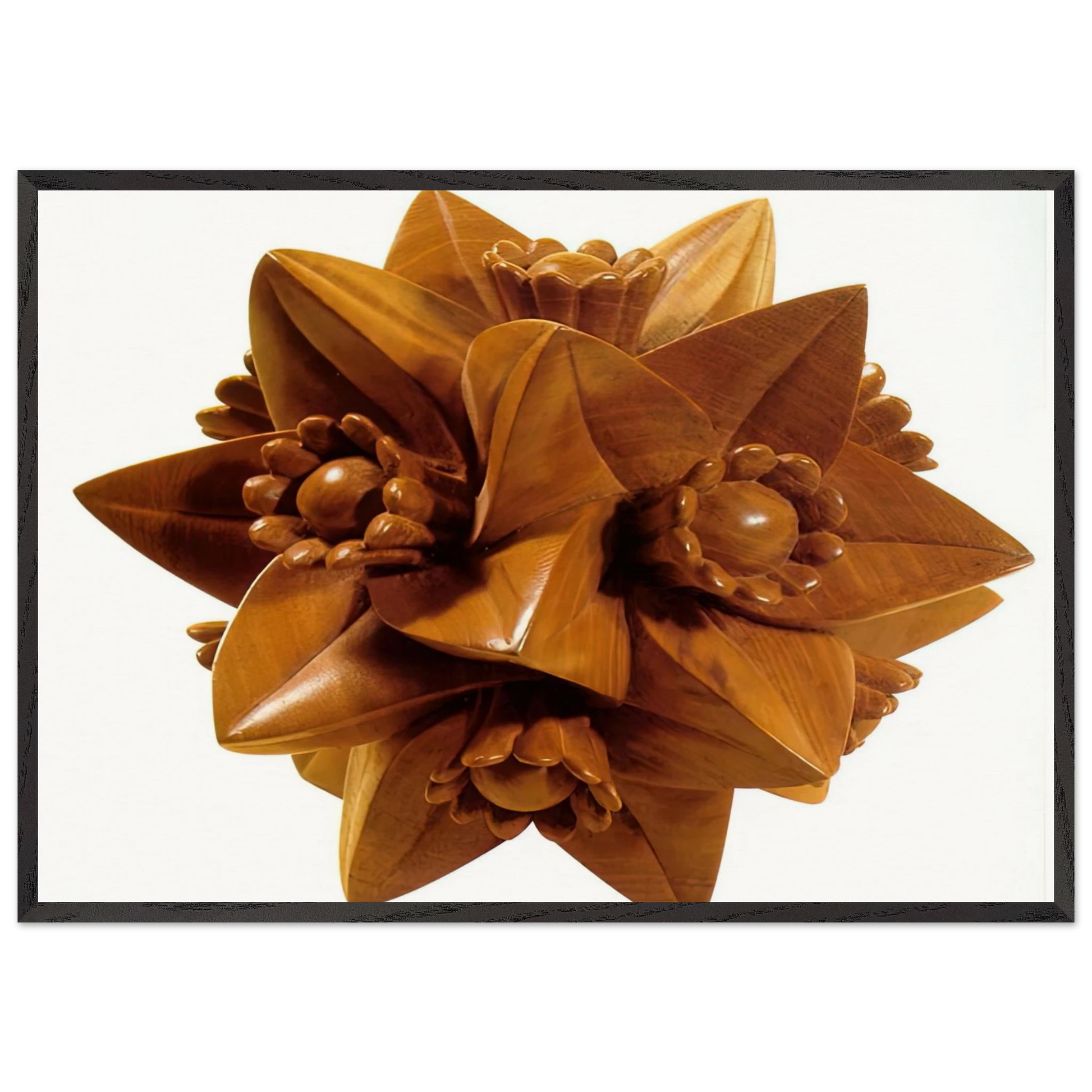 POLYHEDRON WITH FLOWERS - MC Escher Framed Art Print – Black Wooden Frame - Default Title - -Framed Art Print