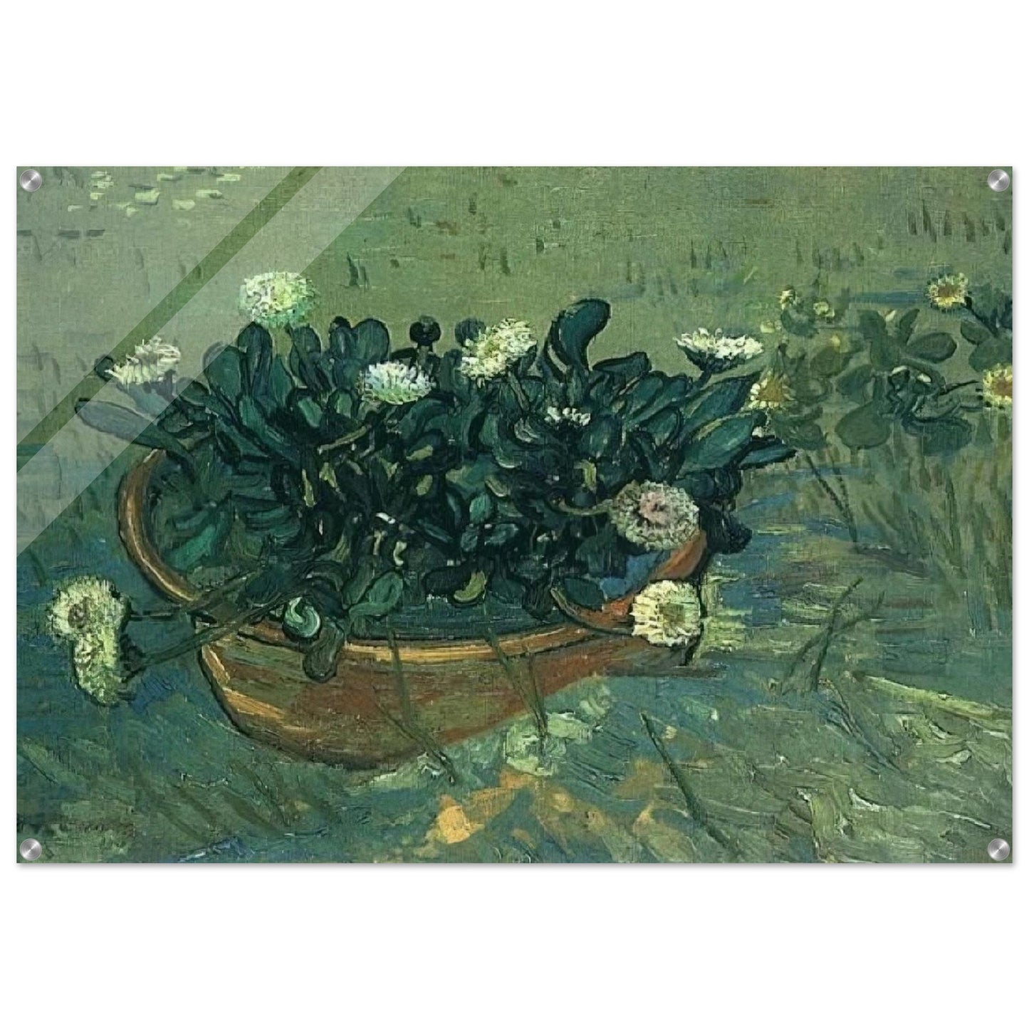 Still Life Bowl with Daisies - Vincent van Gogh Acrylic Print - 70x100 cm / 28x40″ inches | Vincent van Gogh Wall Art | Vincent van Gogh Prints