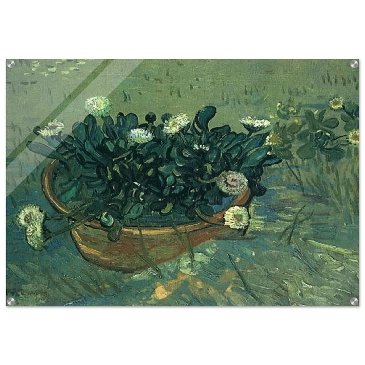 Still Life Bowl with Daisies - Vincent van Gogh Acrylic Print - 70x100 cm / 28x40″ inches | Vincent van Gogh Wall Art | Vincent van Gogh Prints