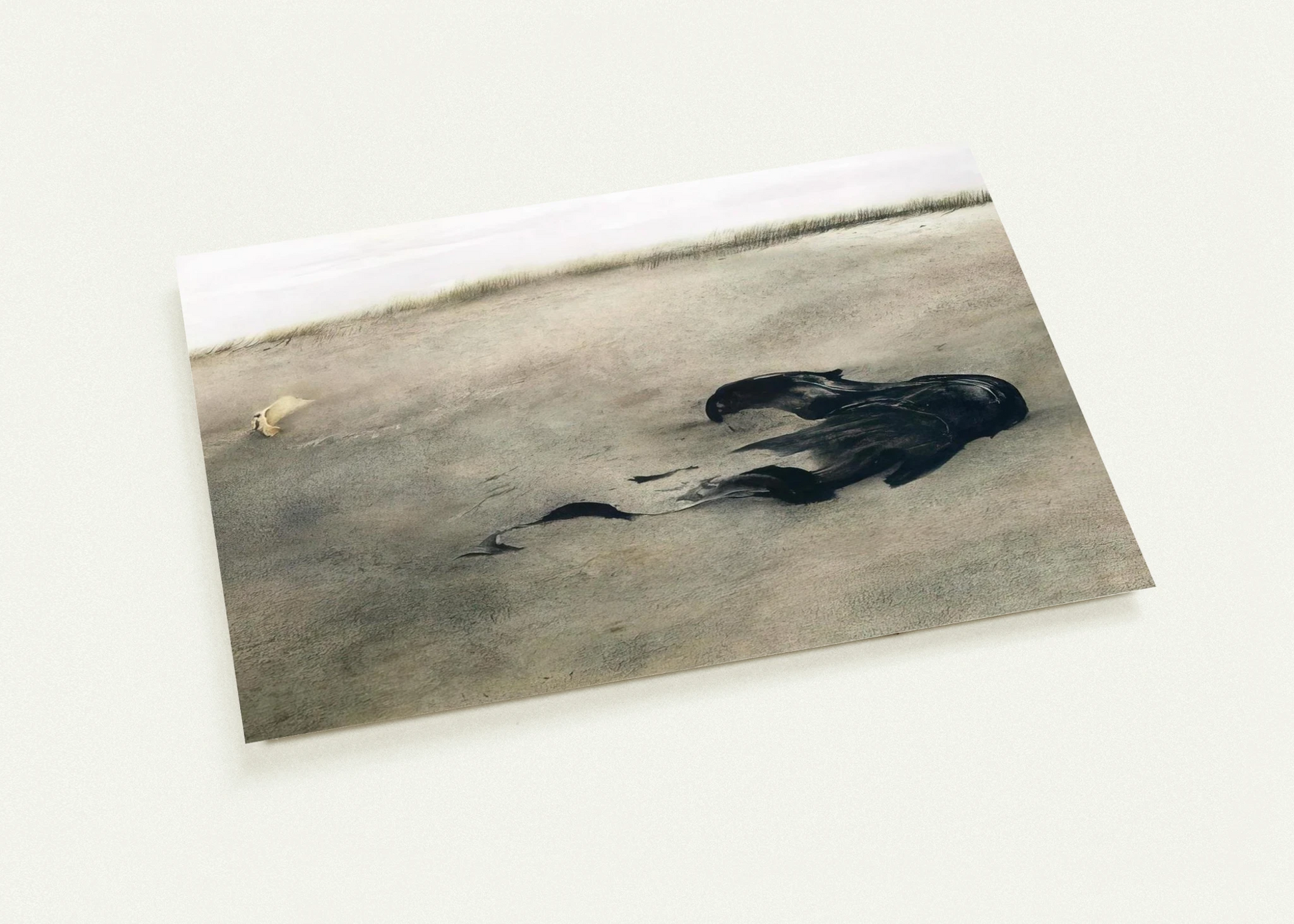 e8b08763-1a0e-4ff5-9a44-97a8d50a2c6a