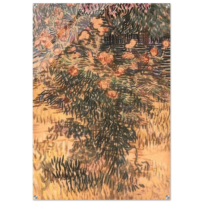 Oleanders, the Hospital Garden at Saint-Remy - Vincent van Gogh Acrylic Print - 70x100 cm / 28x40″ inches