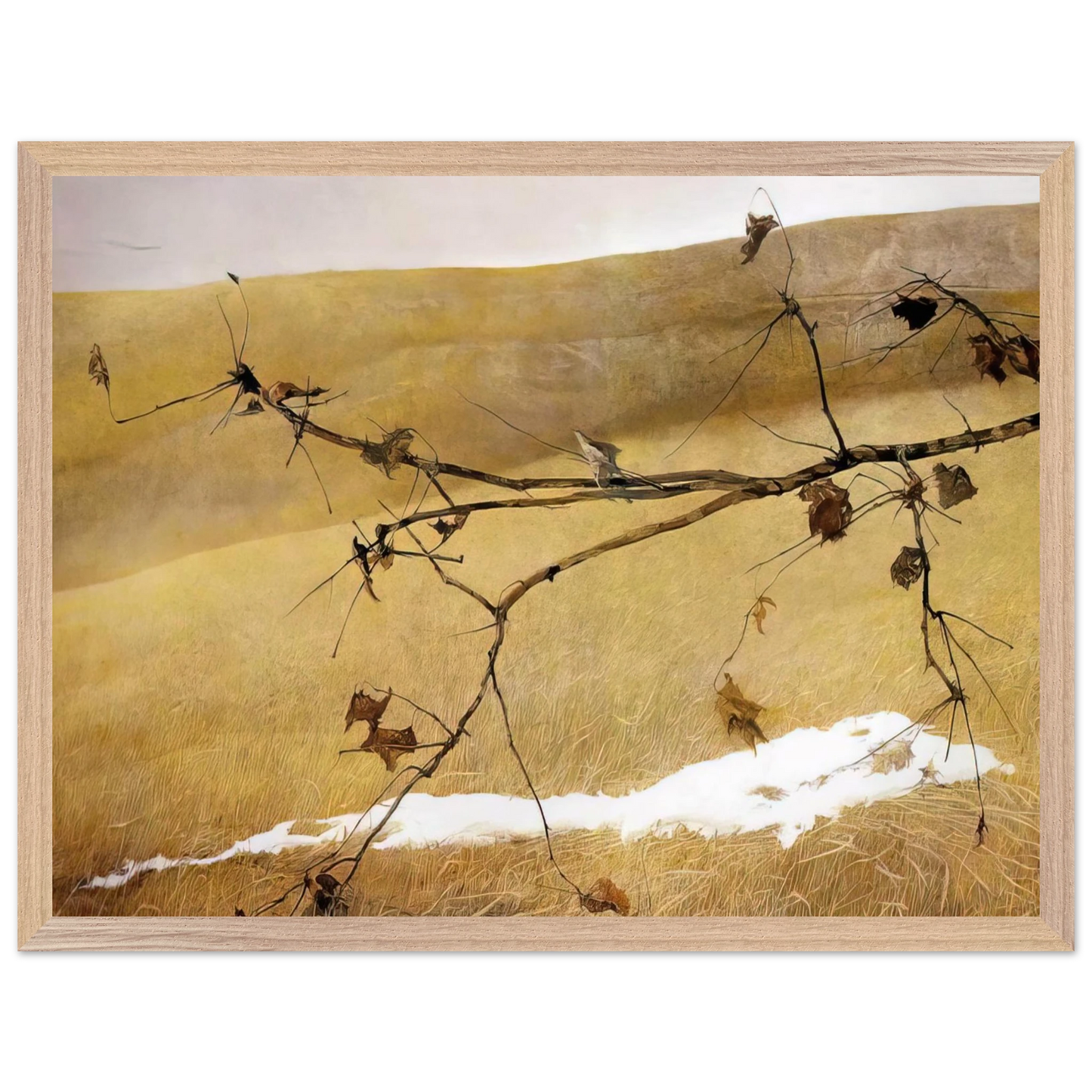 Andrew Wyeth - LONG LIMB Wall Art - 30x40 cm / 12x16 inches - Fine Art Poster - -
