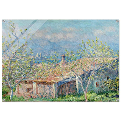 Gardener's House at Antibes - claude monet Acrylic Print - 70x100 cm / 28x40″ inches