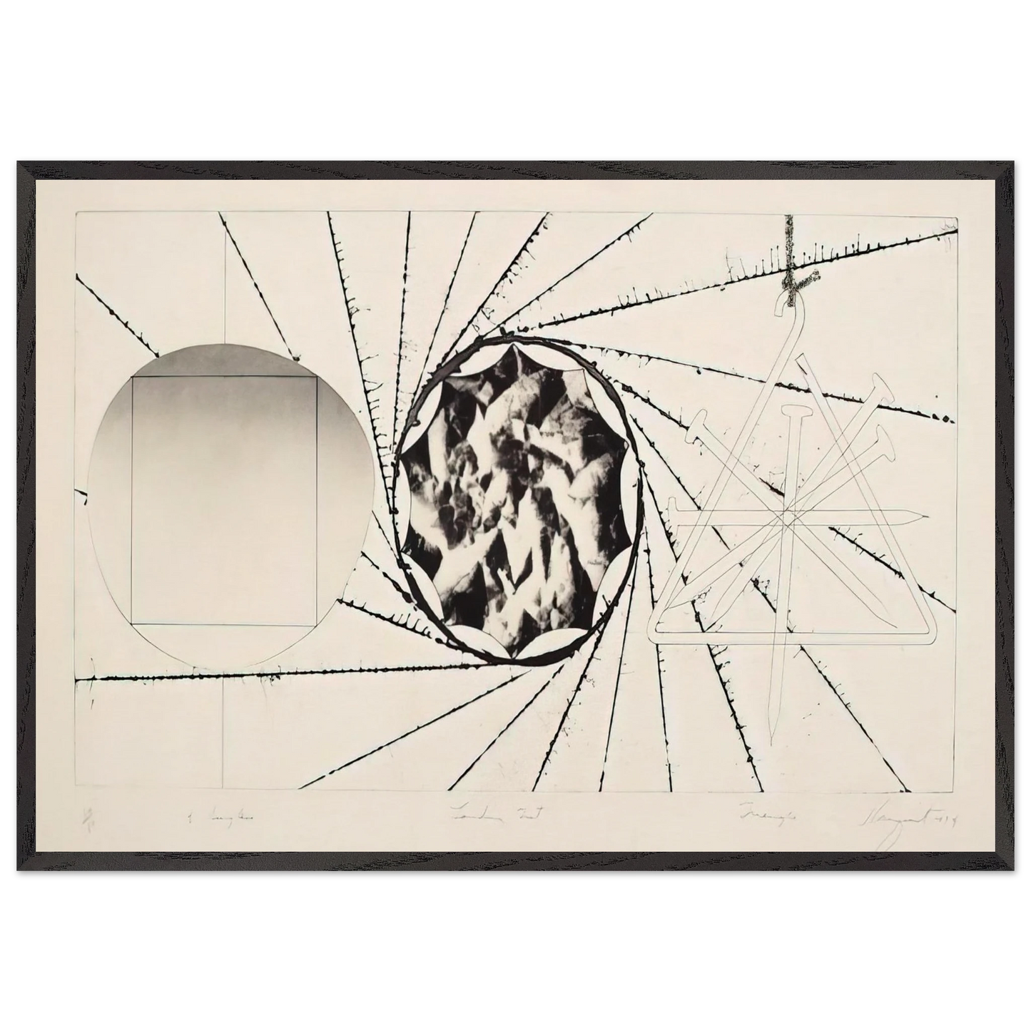 Sunglasses - Landing Net - Triangle - James Rosenquist Framed Art Print – Black Wooden Frame - Default Title - -Framed Art Print