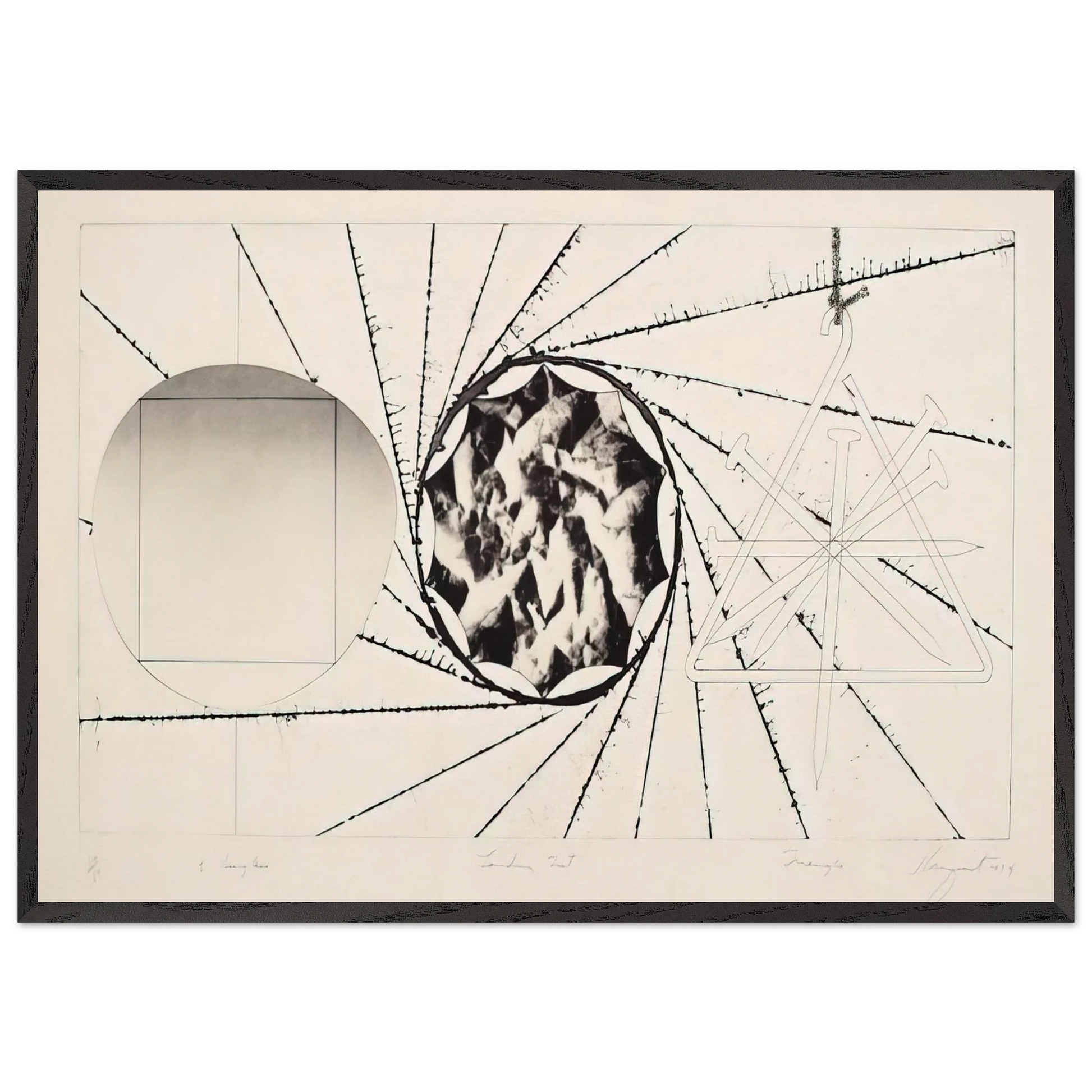 Sunglasses - Landing Net - Triangle - James Rosenquist Framed Art Print – Black Wooden Frame - Default Title - -Framed Art Print