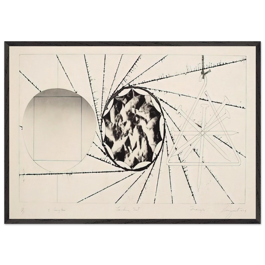 Sunglasses - Landing Net - Triangle - James Rosenquist Framed Art Print – Black Wooden Frame - Default Title - -Framed Art Print