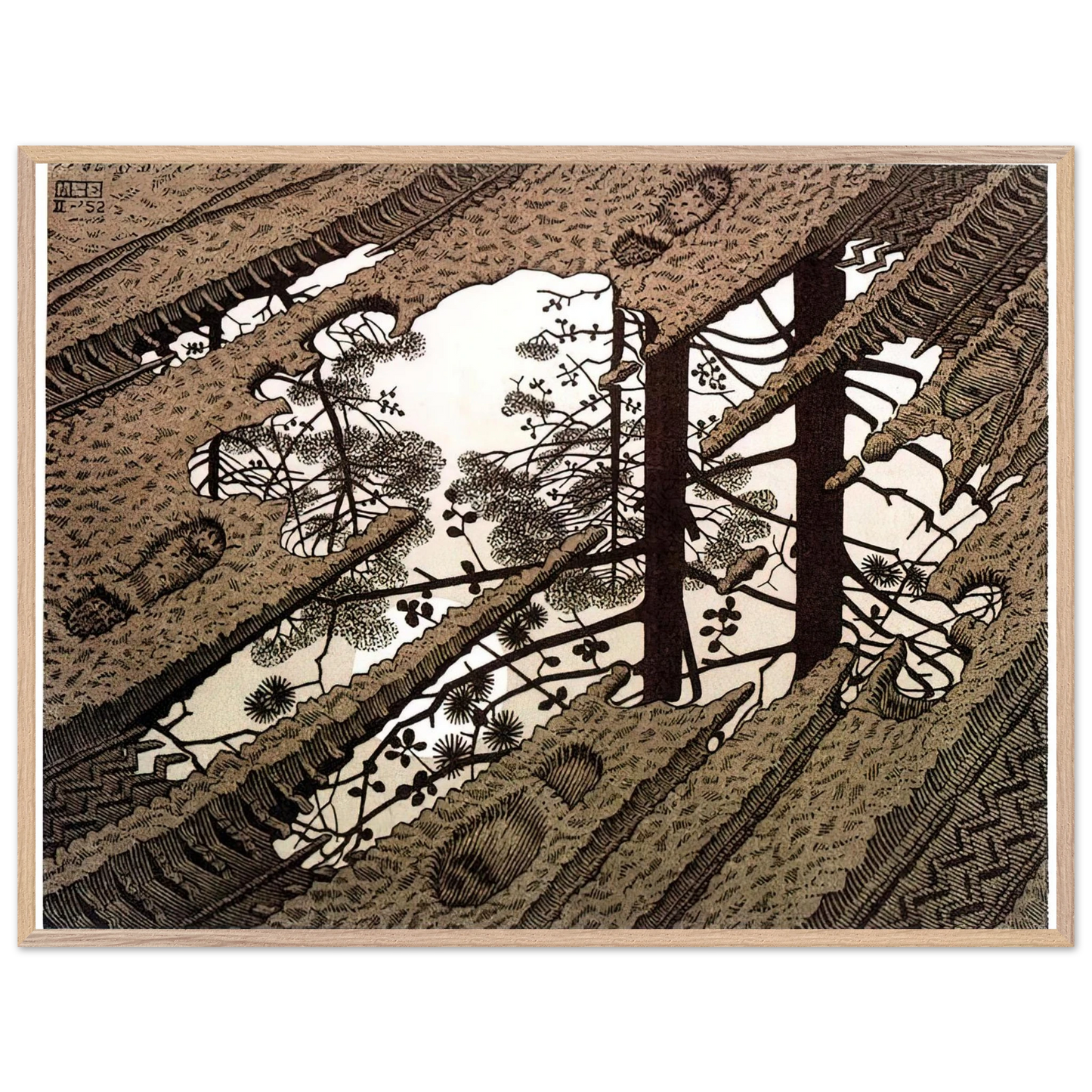 MC Escher - PUDDLE Wall Art - 60x80 cm / 24x32 inches - Premium Wooden Framed Poster With Fine Art Paper - White frame