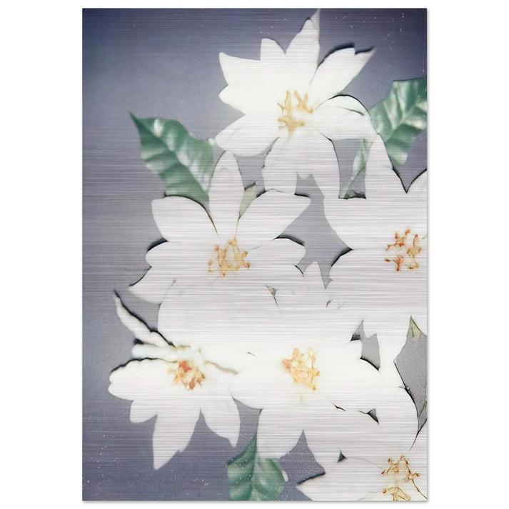 Christmas Poinsettias-White - Andy Warhol Brushed Aluminum Print - 70x100 cm / 28x40 inches | Andy Warhol Aluminum Print | Andy Warhol Prints