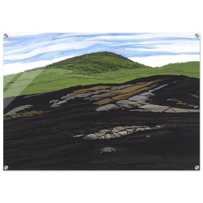 Blueberry Burn Morey's Hill - 1997 - Neil Welliver Acrylic Print - 70x100 cm / 28x40″ inches
