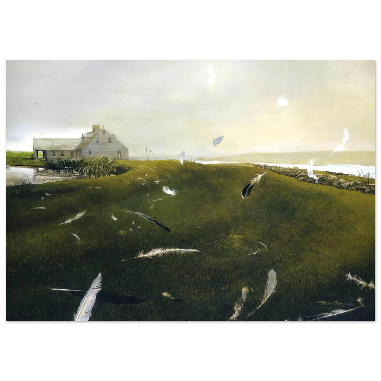 Andrew Wyeth - AIRBORNE Wall Art - 30x40 cm / 12x16 inches - Fine Art Poster - -