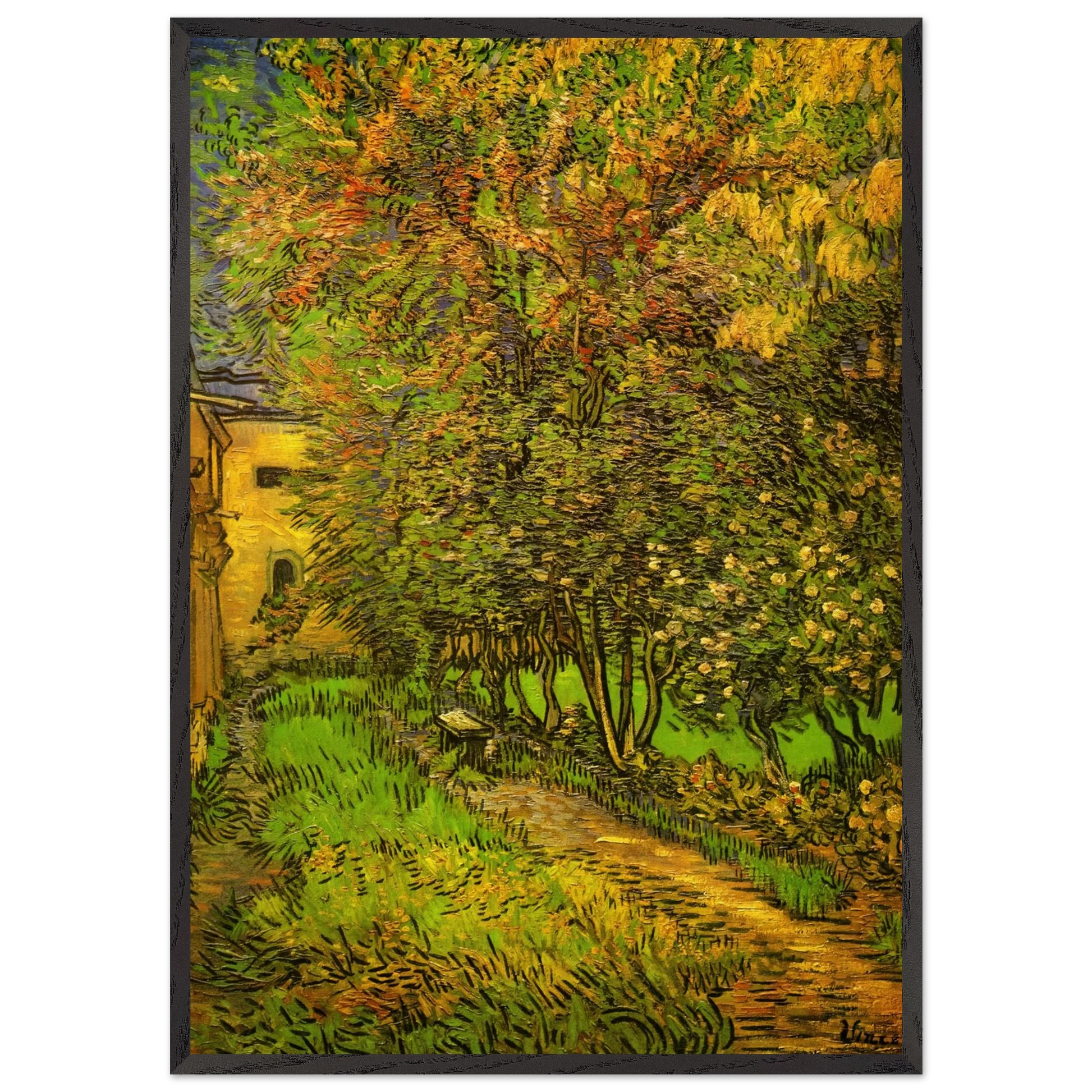 The Garden of Saint-Paul Hospital - Vincent van Gogh Framed Art Print – Black Wooden Frame - Default Title - -Framed Art Print
