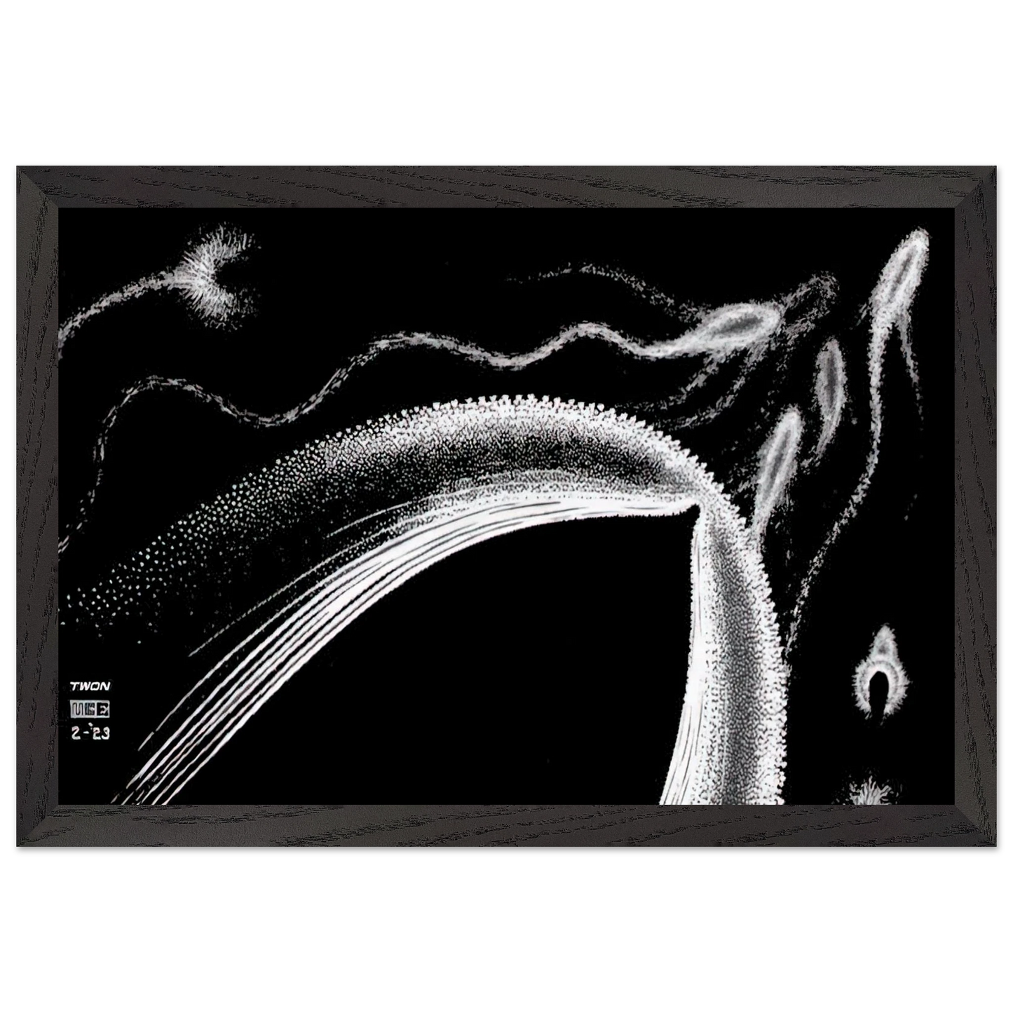 MC Escher - DOLPHINS Wall Art - 21x29.7 cm / 8x12" - Premium Wooden Framed Poster With Fine Art Paper - Black frame