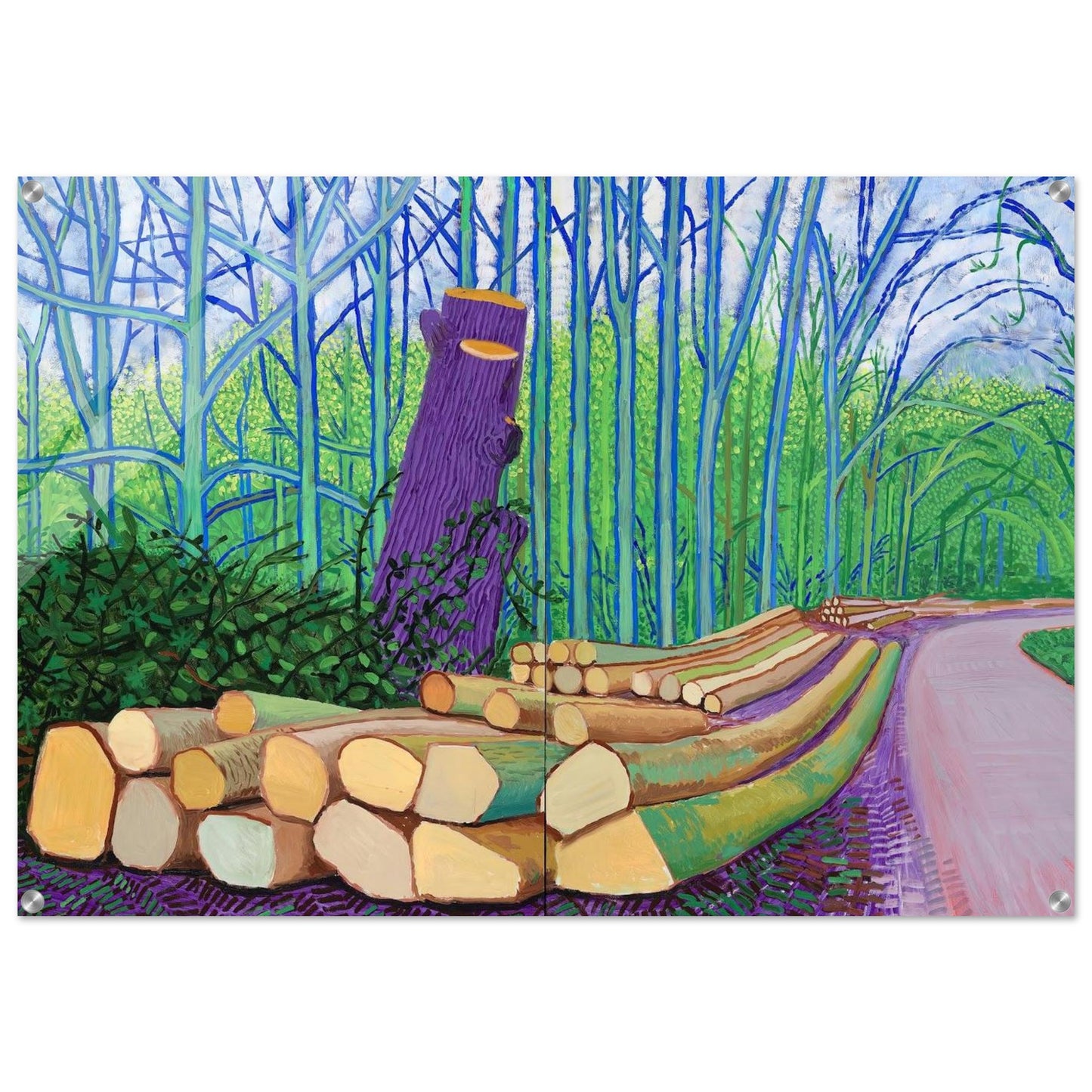 David Hockney - David Hockney Acrylic Print - 70x100 cm / 28x40″ inches | David Hockney Art | Artwork by David Hockney