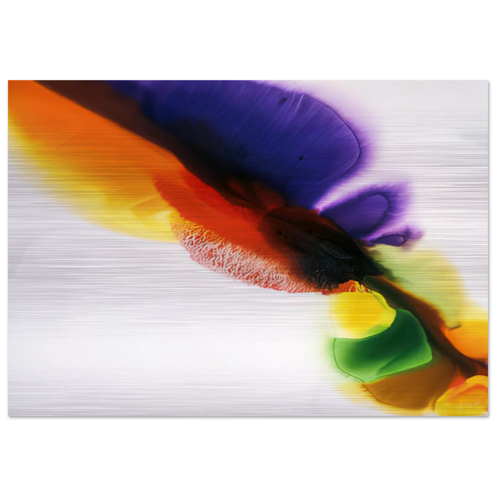 ee8c3361-8ab2-48ac-a419-50c1f30baccf