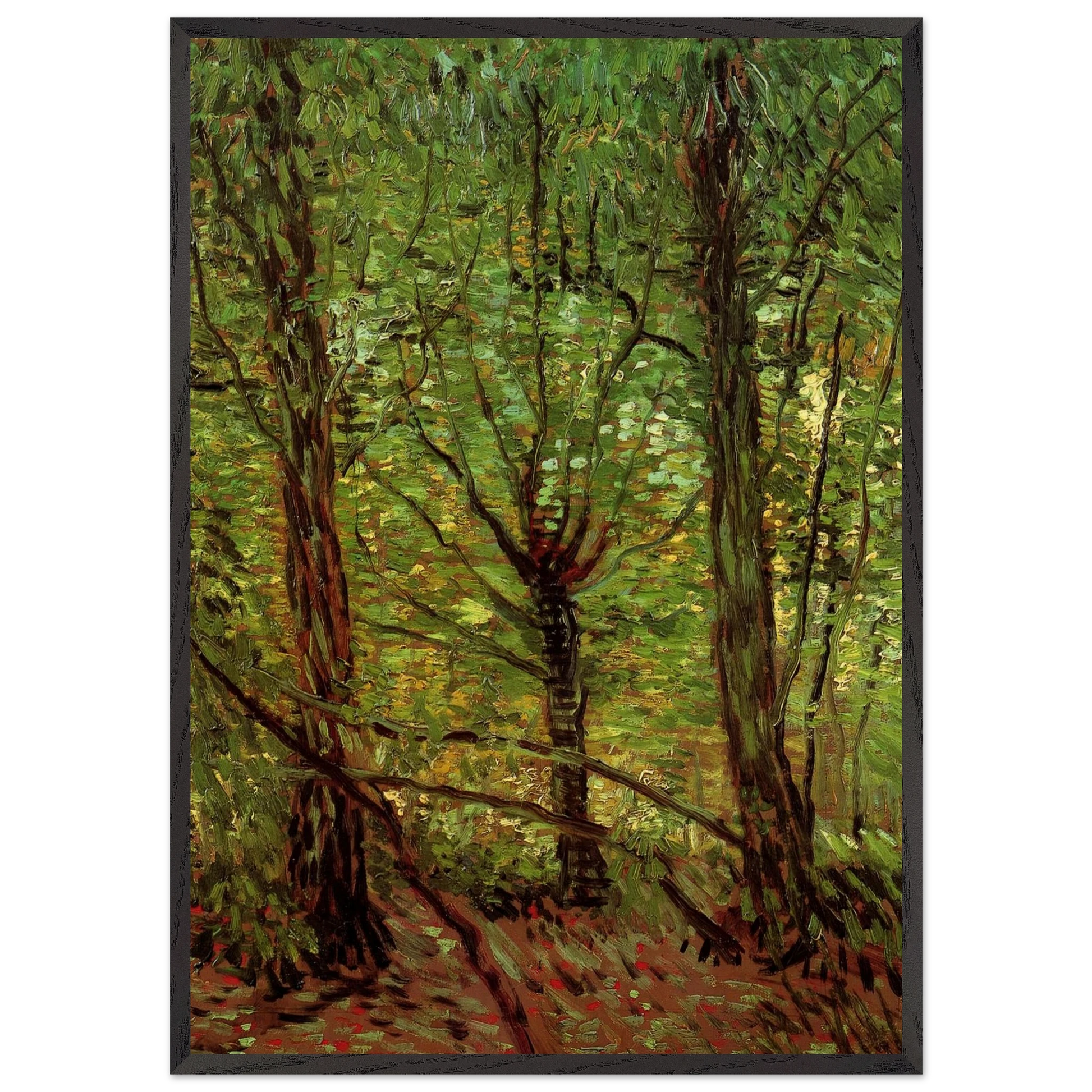 Trees and Undergrowth - Vincent van Gogh Framed Art Print – Black Wooden Frame - Default Title - -Framed Art Print
