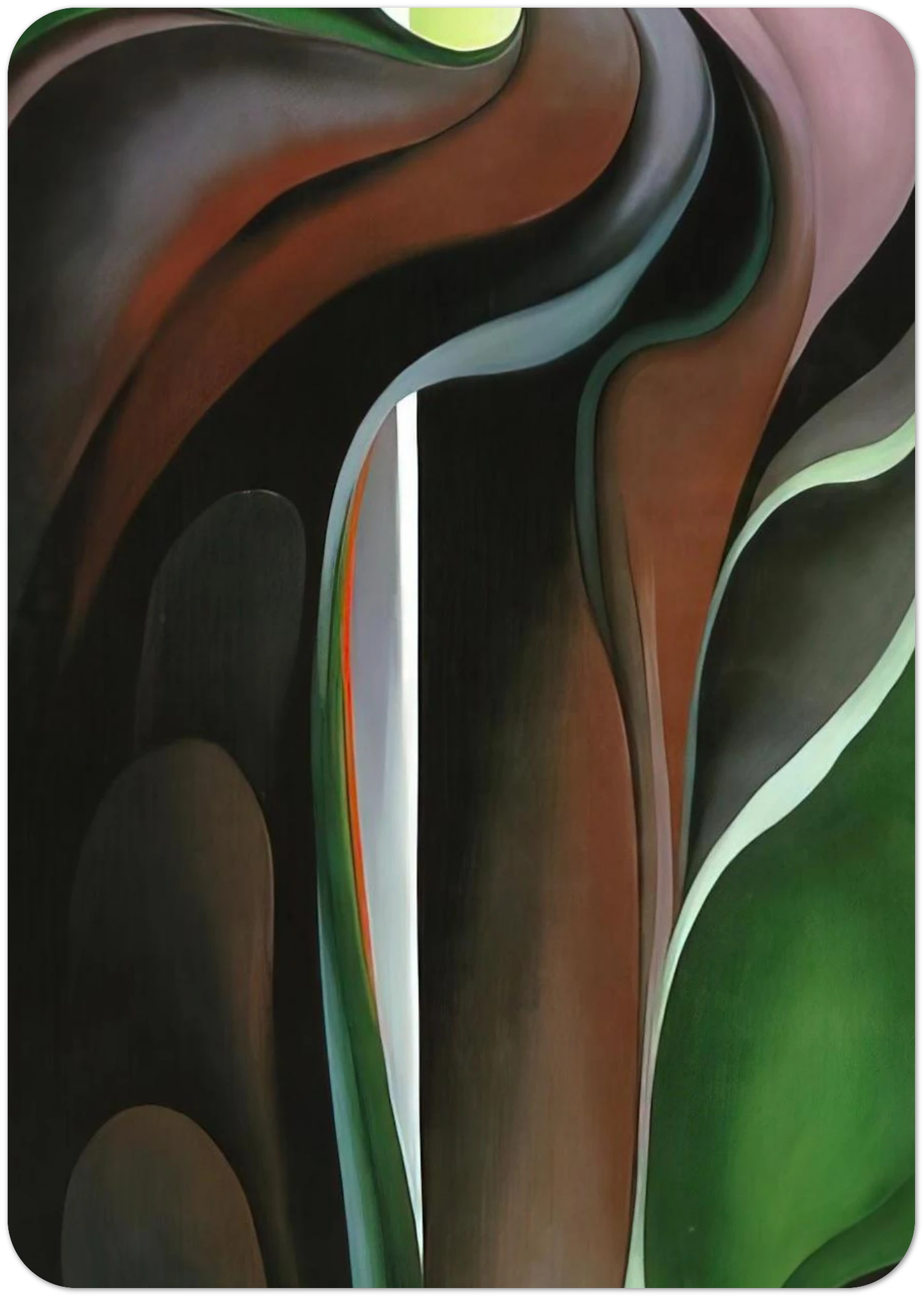 Jack-in-the-Pulpit ?V By Georgia O'Keeffe Pack of 10 Post Cards | Georgia O'Keeffe Post Cards | A6 (10.5 x 14.8 cm) - 4.1 x 5.8 inches