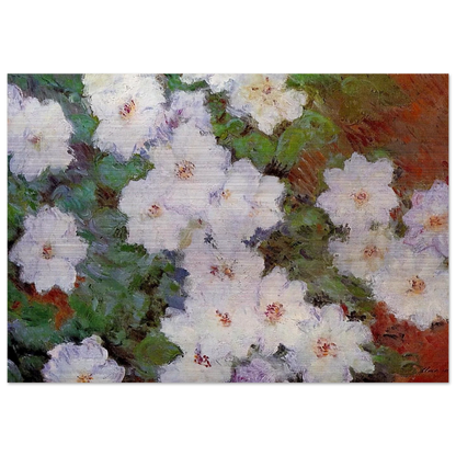 Clematis - claude monet Brushed Aluminum Print - 70x100 cm / 28x40 inches | claude monet Aluminum Print | claude monet Prints
