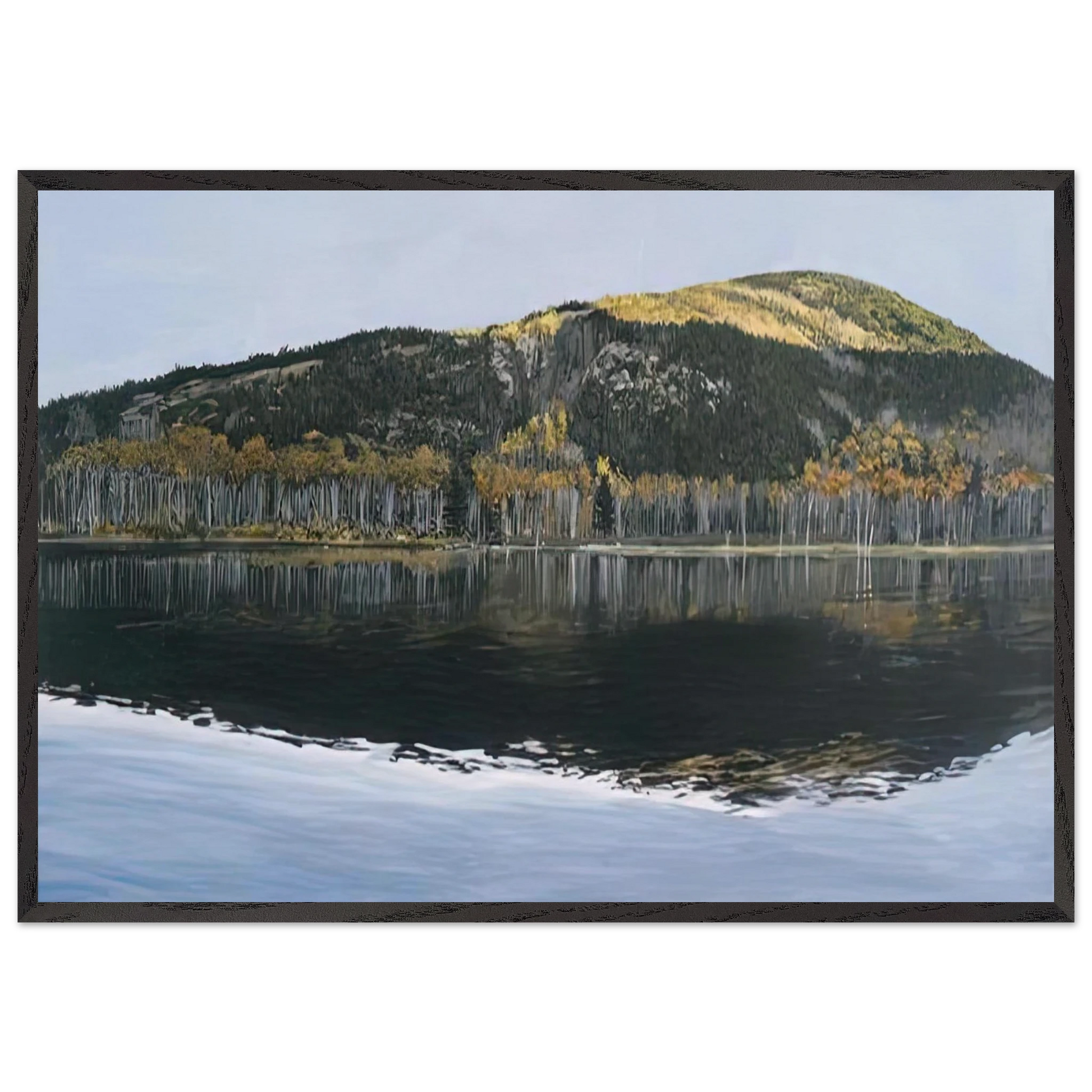 BEAVER DAM POND ACADIA NATIONAL PARK 2009 - Richard Estes Framed Art Print – Black Wooden Frame - Default Title - -Framed Art Print