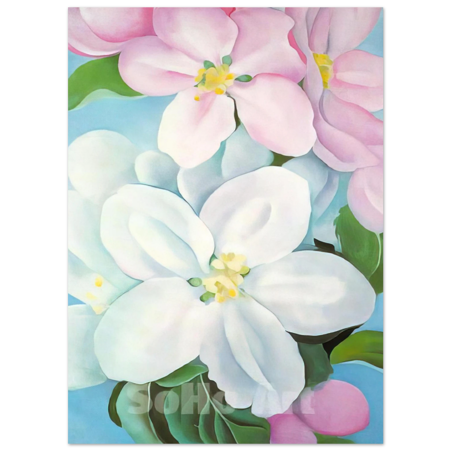Georgia O'Keeffe - Apple Blossoms Fine Art Poster - 75x100 cm / 30x40 inches