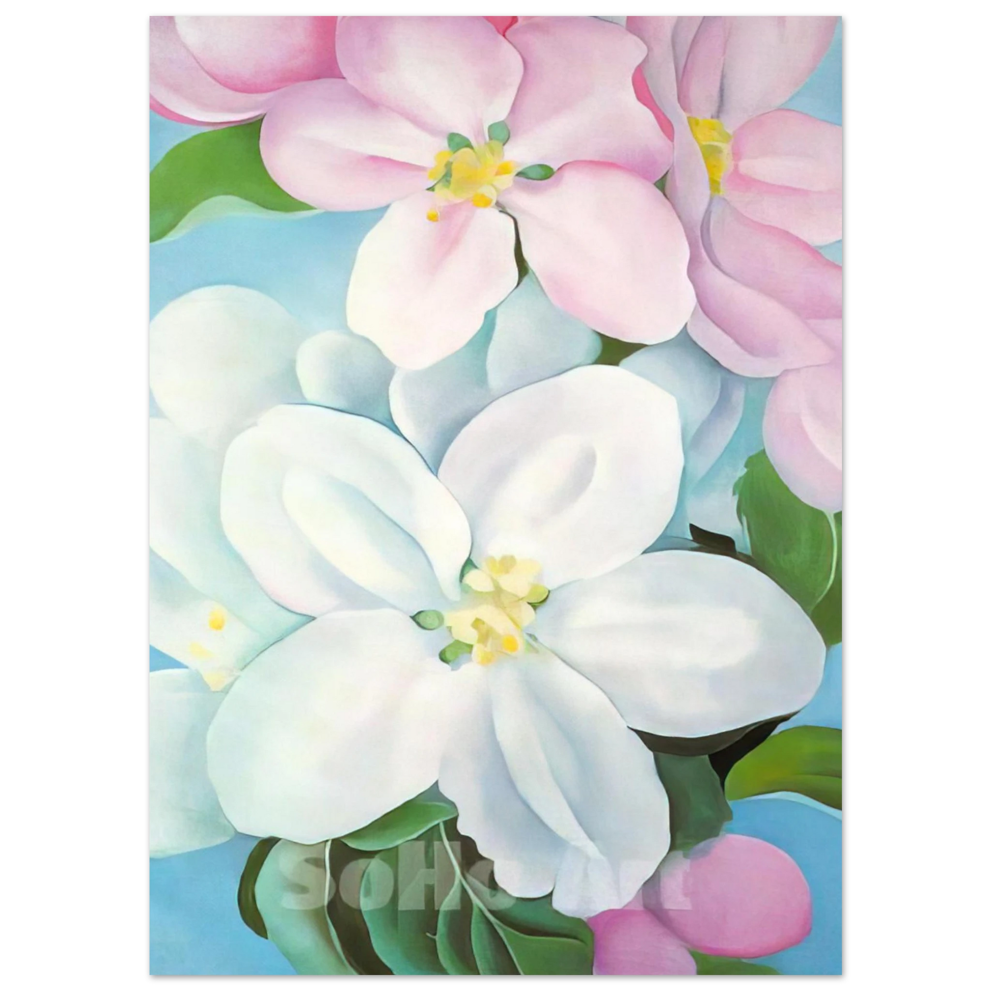 Georgia O'Keeffe - Apple Blossoms Fine Art Poster - 75x100 cm / 30x40 inches