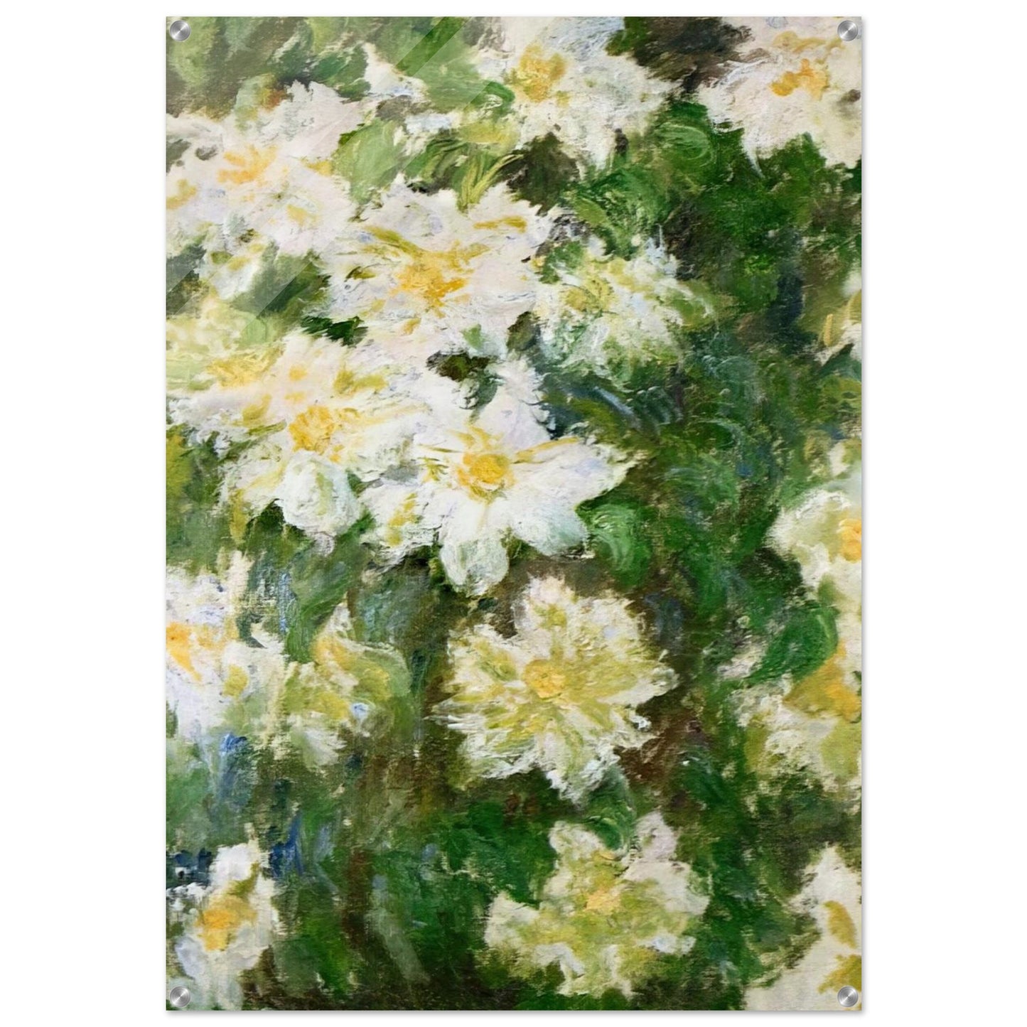 White Clematis - claude monet Acrylic Print - 70x100 cm / 28x40″ inches