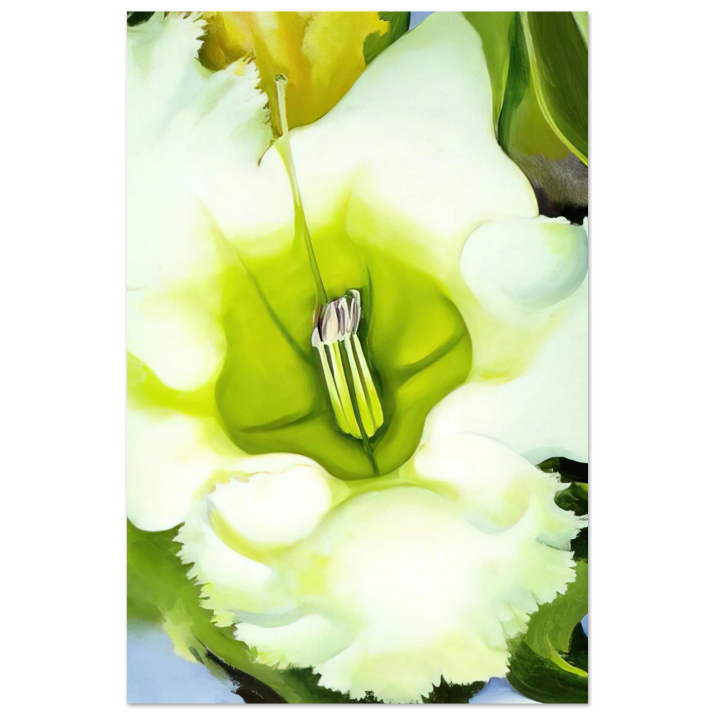 Georgia O'Keeffe - Cup Of Silver Ginger Fine Art Poster - 40x60 cm / 16x24 inches