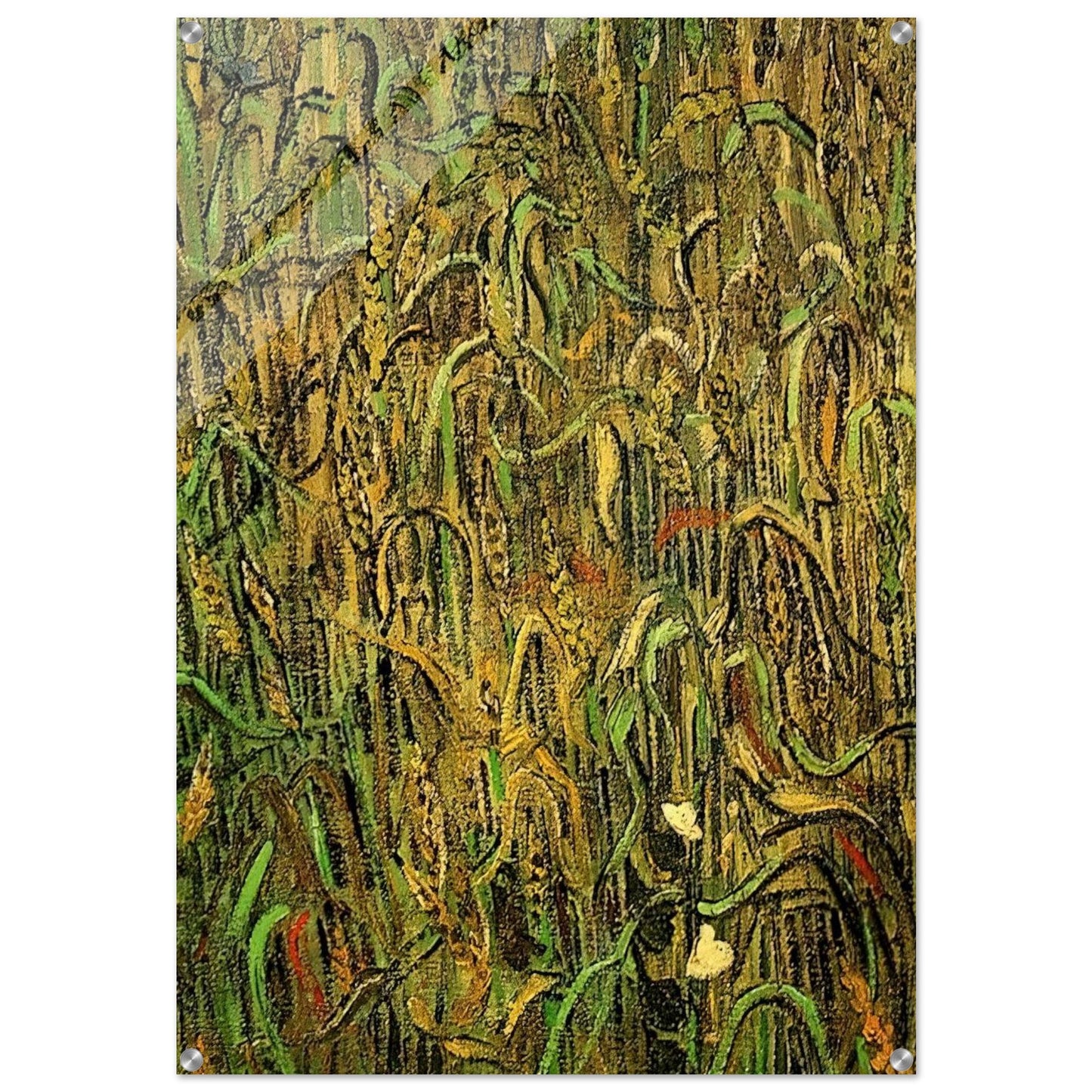 Ears of Wheat - Vincent van Gogh Acrylic Print - 70x100 cm / 28x40″ inches