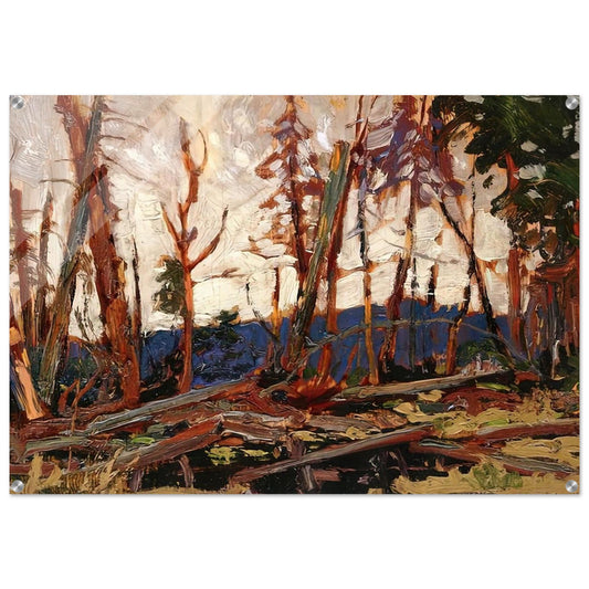 BURNT COUNTRY EVENING SKETCH FOR BURNT LAND 1914 - Tom Thomson Acrylic Print - 70x100 cm / 28x40″ inches