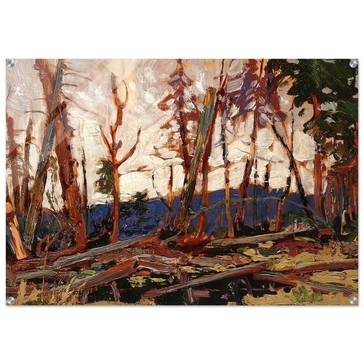 BURNT COUNTRY EVENING SKETCH FOR BURNT LAND 1914 - Tom Thomson Acrylic Print - 70x100 cm / 28x40″ inches