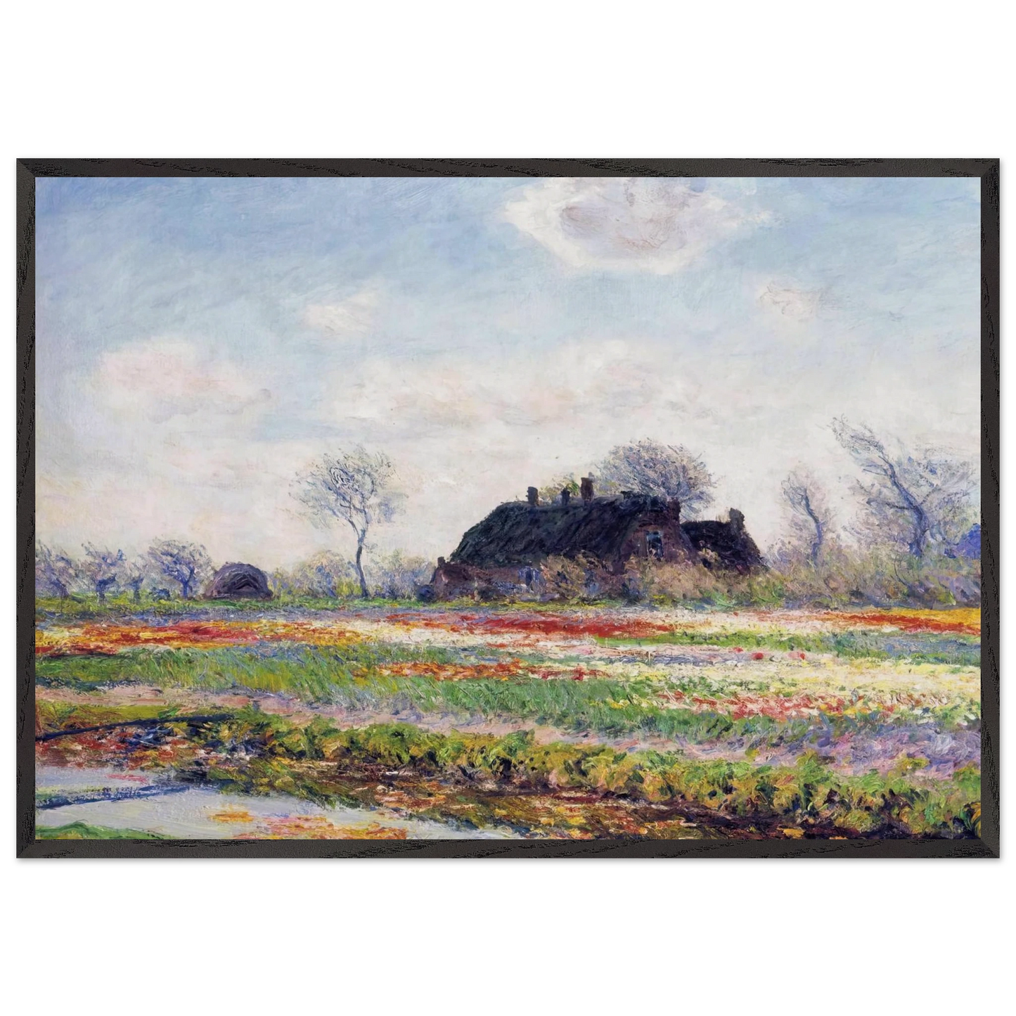 Tulip Fields at Sassenheim near Leiden - claude monet Framed Art Print – Black Wooden Frame - Default Title - -Framed Art Print