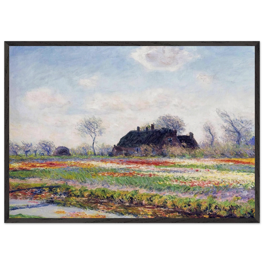 Tulip Fields at Sassenheim near Leiden - claude monet Framed Art Print – Black Wooden Frame - Default Title - -Framed Art Print
