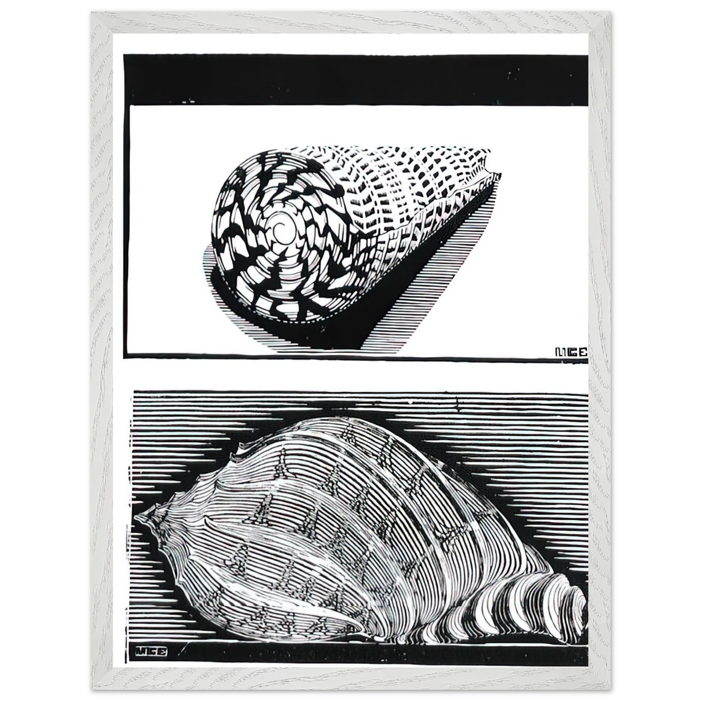 MC Escher - SEA SHELLS Wall Art - 21x29.7 cm / 8x12" - Premium Wooden Framed Poster With Fine Art Paper - White frame