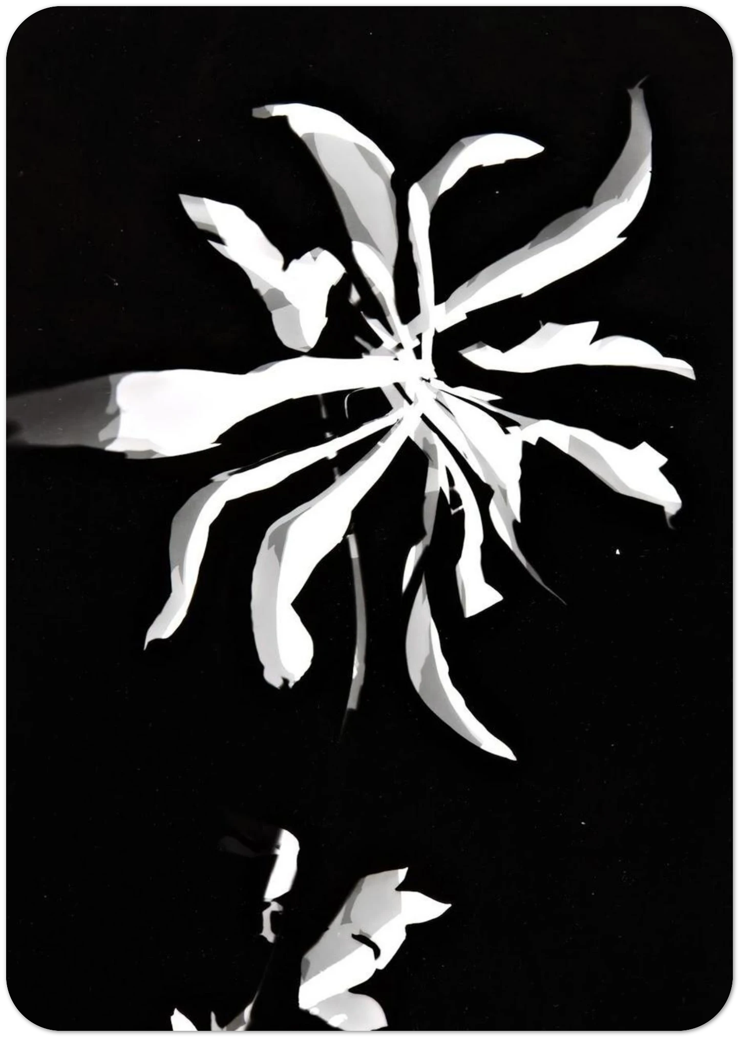 Changing patterns By Laszlo Moholy-Nagy Pack of 10 Post Cards | Laszlo Moholy-Nagy Post Cards | A6 (10.5 x 14.8 cm) - 4.1 x 5.8 inches