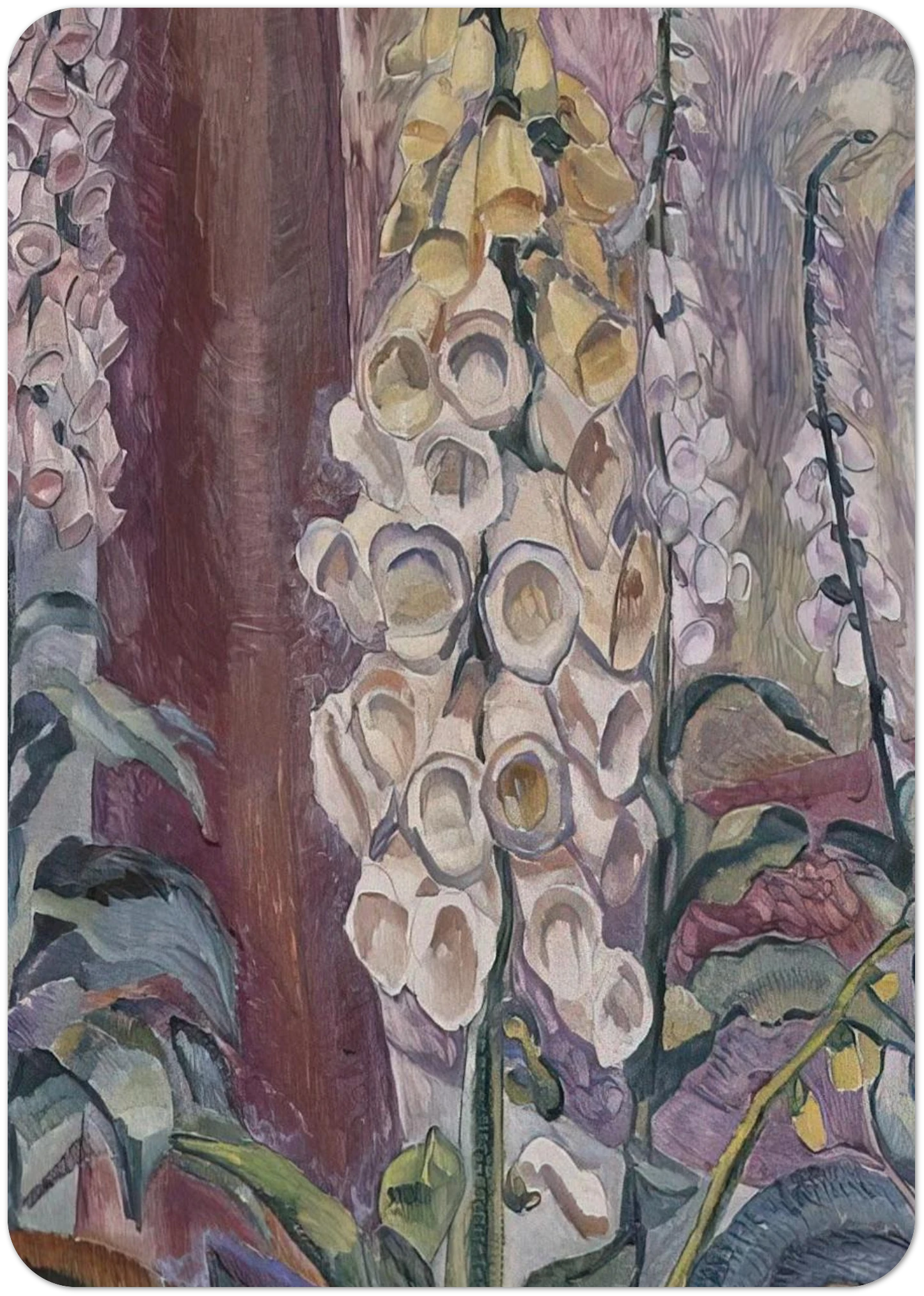 Foxgloves growing - 1929 By Grace Cossington Smith Pack of 10 Post Cards | Grace Cossington Smith Post Cards | A6 (10.5 x 14.8 cm) - 4.1 x 5.8 inches