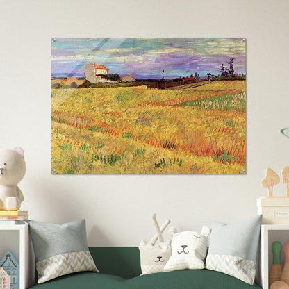 Wheat Field - Vincent van Gogh Acrylic Print - 70x100 cm / 28x40″ inches