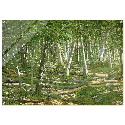 Old Windfall - 1982 - Neil Welliver Acrylic Print - 70x100 cm / 28x40″ inches