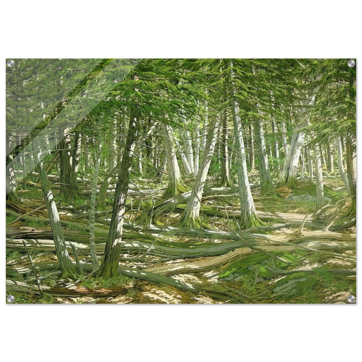 Old Windfall - 1982 - Neil Welliver Acrylic Print - 70x100 cm / 28x40″ inches