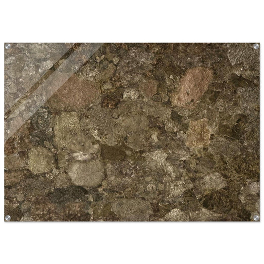 f4cfb806-dffd-4caf-b85b-ee5337cfa495