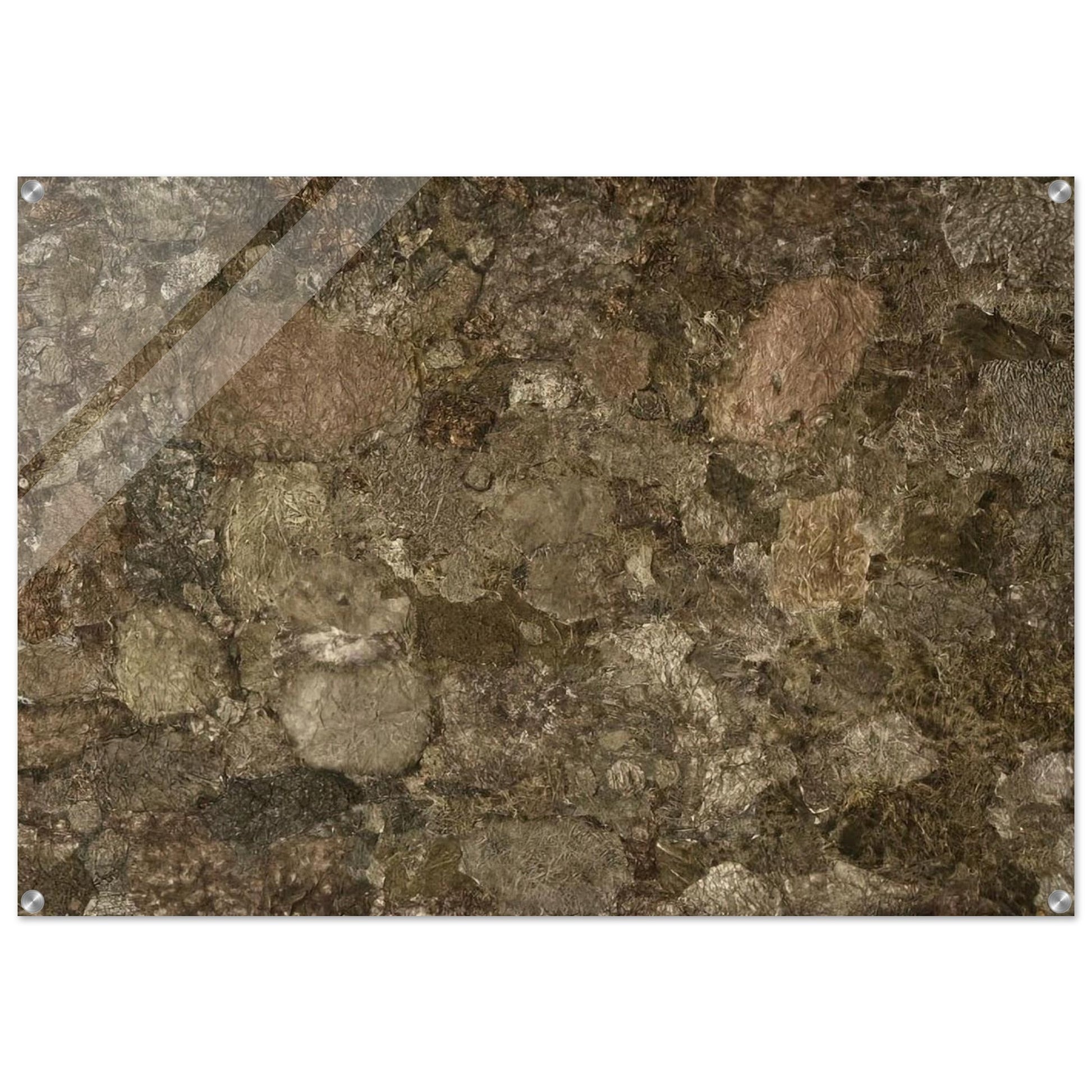 f4cfb806-dffd-4caf-b85b-ee5337cfa495