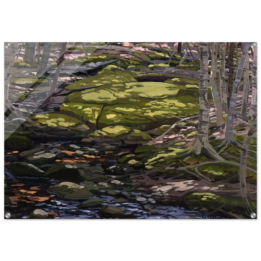 Light in Brook - Contemporary Realism - Neil Welliver Acrylic Print - 70x100 cm / 28x40″ inches