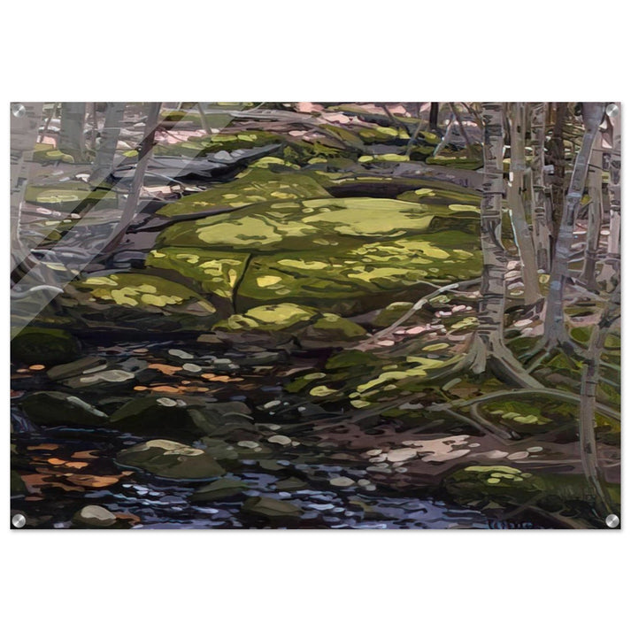 Light in Brook - Contemporary Realism - Neil Welliver Acrylic Print - 70x100 cm / 28x40″ inches