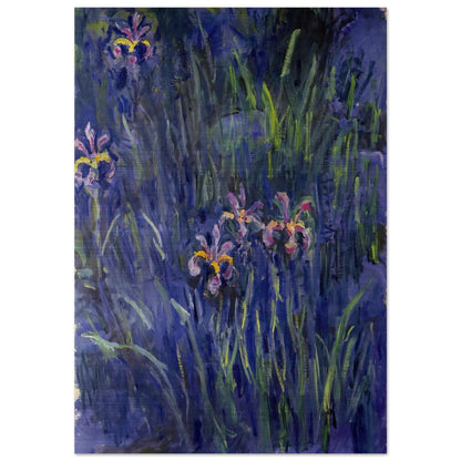Irises 2 - claude monet Brushed Aluminum Print - 70x100 cm / 28x40 inches | claude monet Aluminum Print | claude monet Prints