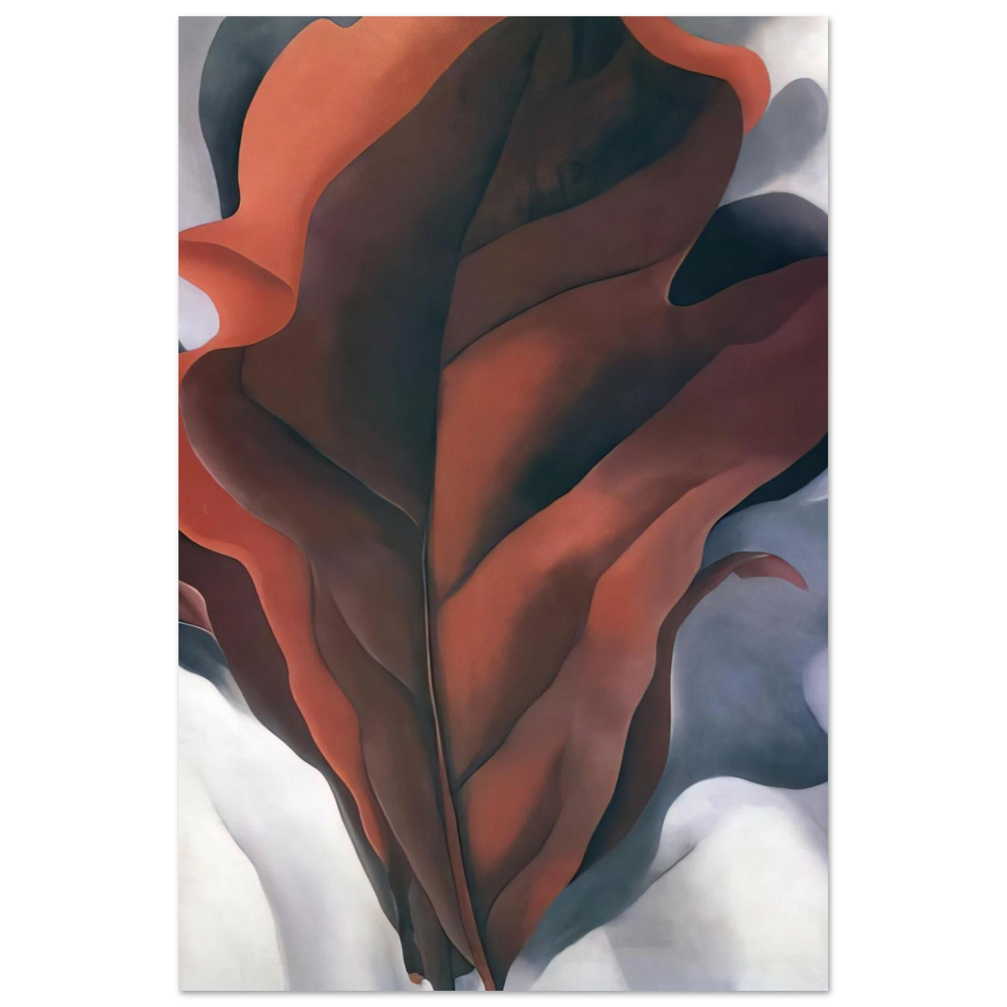 Georgia O'Keeffe - Large Dark Red Leaves on White Fine Art Poster - 40x60 cm / 16x24 inches