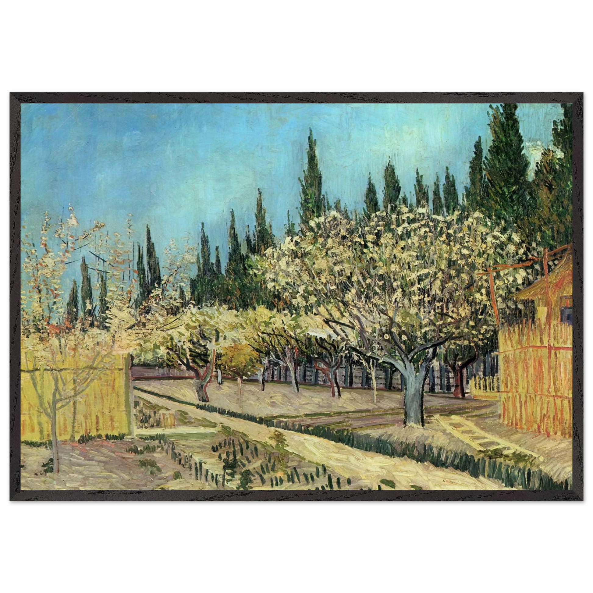 Orchard in Blossom Bordered by Cypresses - Vincent van Gogh Framed Art Print – Black Wooden Frame - Default Title - -Framed Art Print