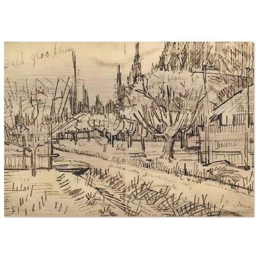 Orchard Surrounded by Cypresses - Vincent van Gogh Brushed Aluminum Print - 70x100 cm / 28x40 inches | Vincent van Gogh Aluminum Print | Vincent van Gogh Prints