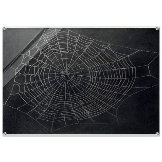 f663c93b-43cd-4e4a-a3c2-fdfd3c4ae488