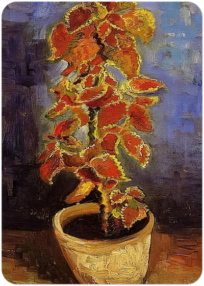 Coleus Plant in a Flowerpot By Vincent van Gogh Pack of 10 Post Cards | Vincent van Gogh Post Cards | A6 (10.5 x 14.8 cm) - 4.1 x 5.8 inches